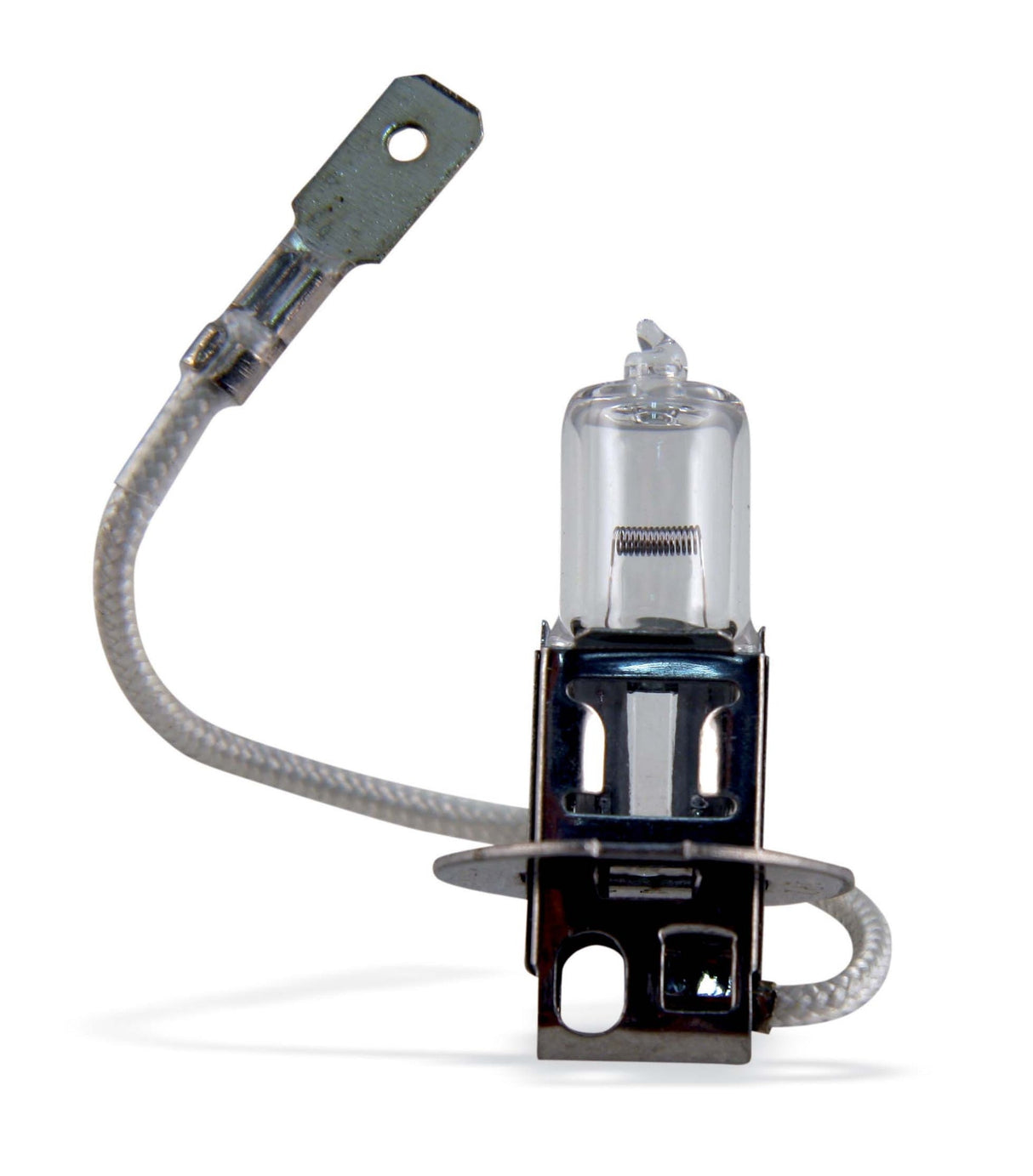 CYCLOPE REPLACEMENT HALOGEN BULB