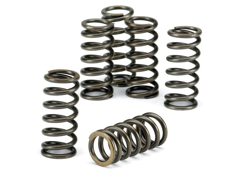 CLUTCH SPRING SET/6 CSK010