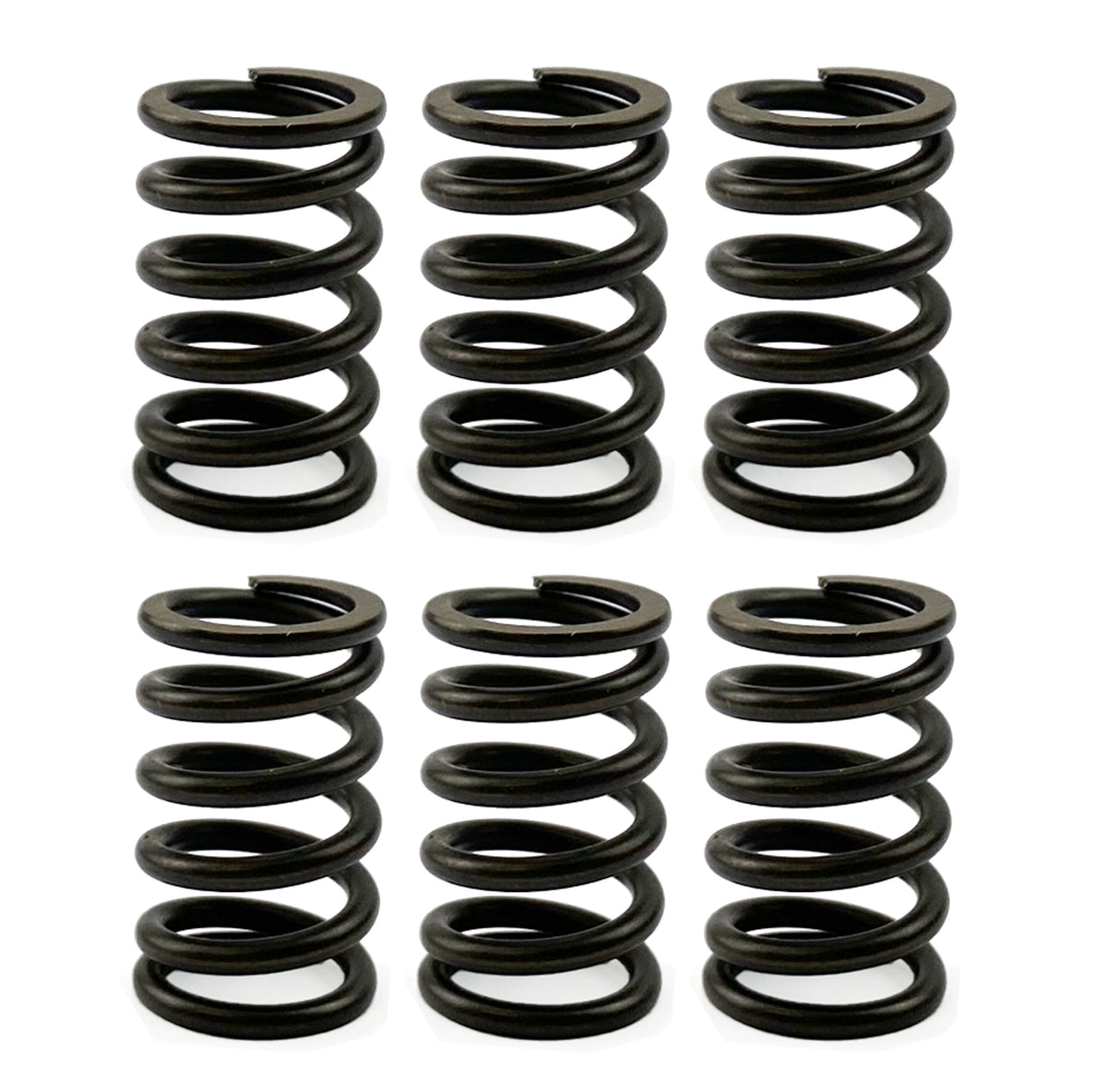CLUTCH SPRING SET/6 KIT EBC CSK023