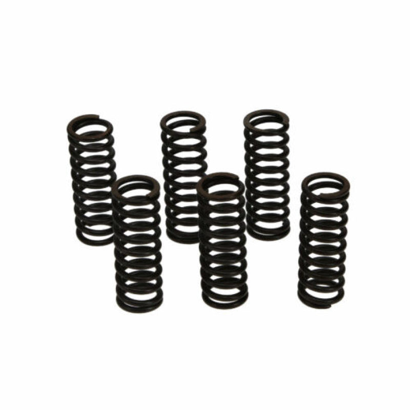 CLUTCH SPRING SET/6 CSK028
