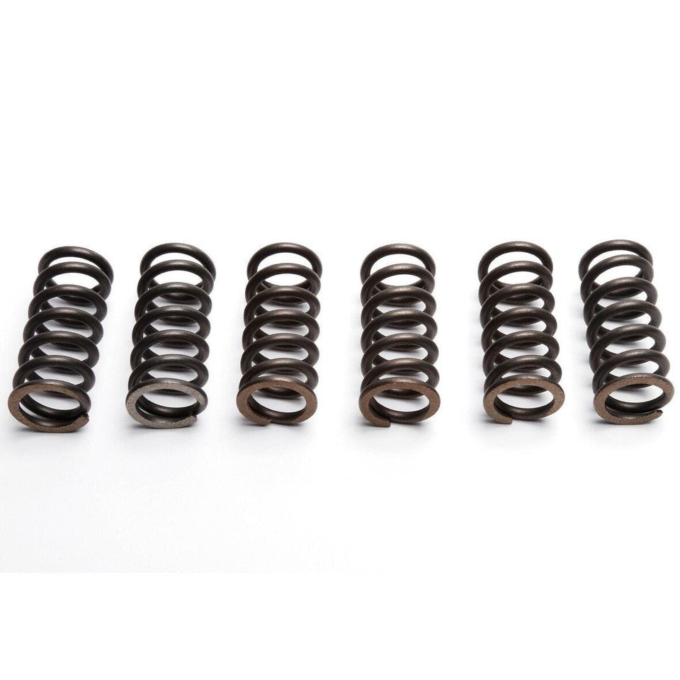 CLUTCH SPRING SET/6 KIT EBC CSK030