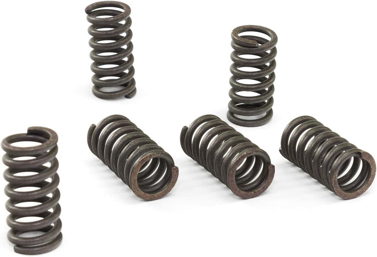 CLUTCH SPRING SET/6 EBC CSK034