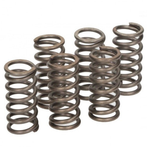 CLUTCH SPRING KIT SET/6 EBC CSK053