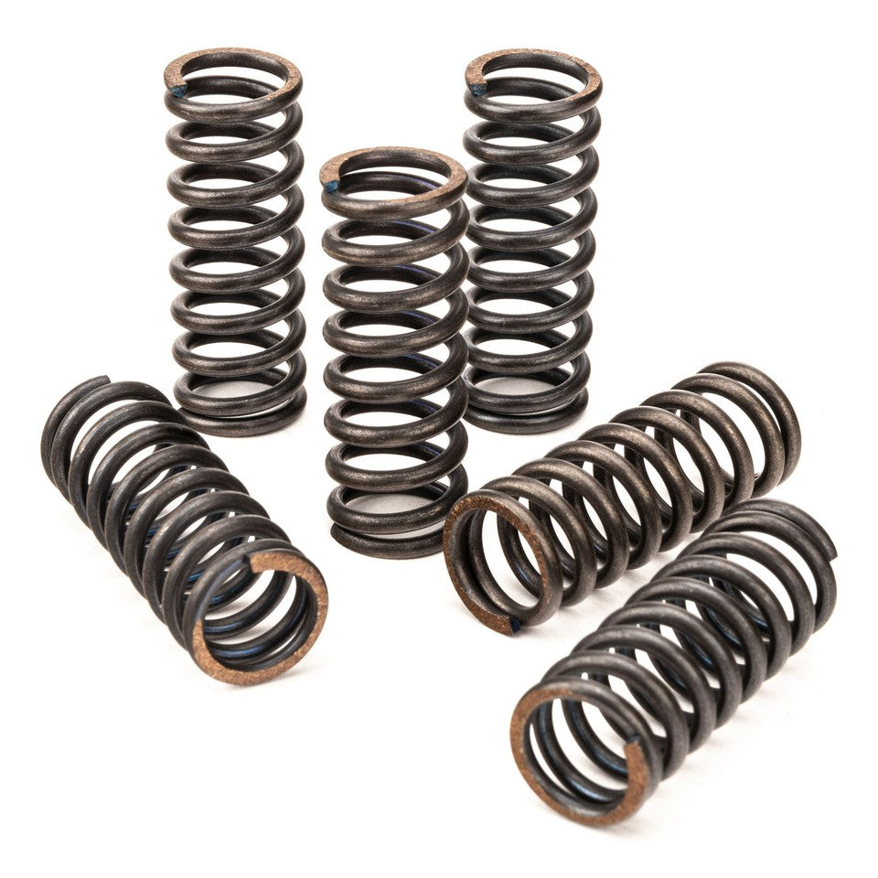 CLUTCH SPRING KIT SET/6 CSK081