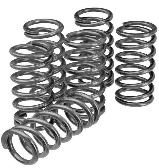 CLUTCH SPRING SET/6 EBC CSK001