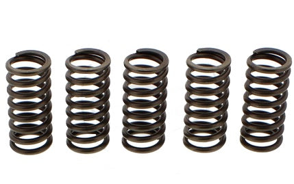 CLUTCH SPRINGS SET/5 EBC CSK137