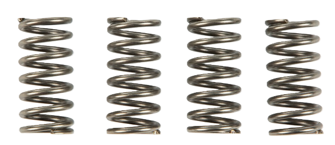 CLUTCH SPRING SET/4 EBC CSK140