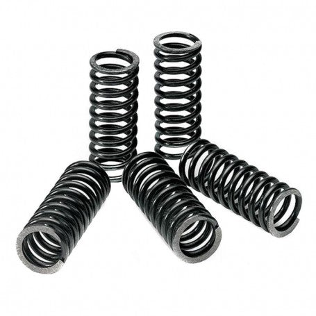 CLUTCH SPRINGS SET/5 EBC CSK179