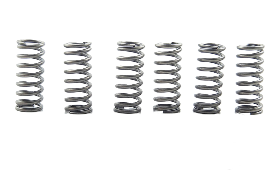 CLUTCH SPRING SET/6 EBC CSK210