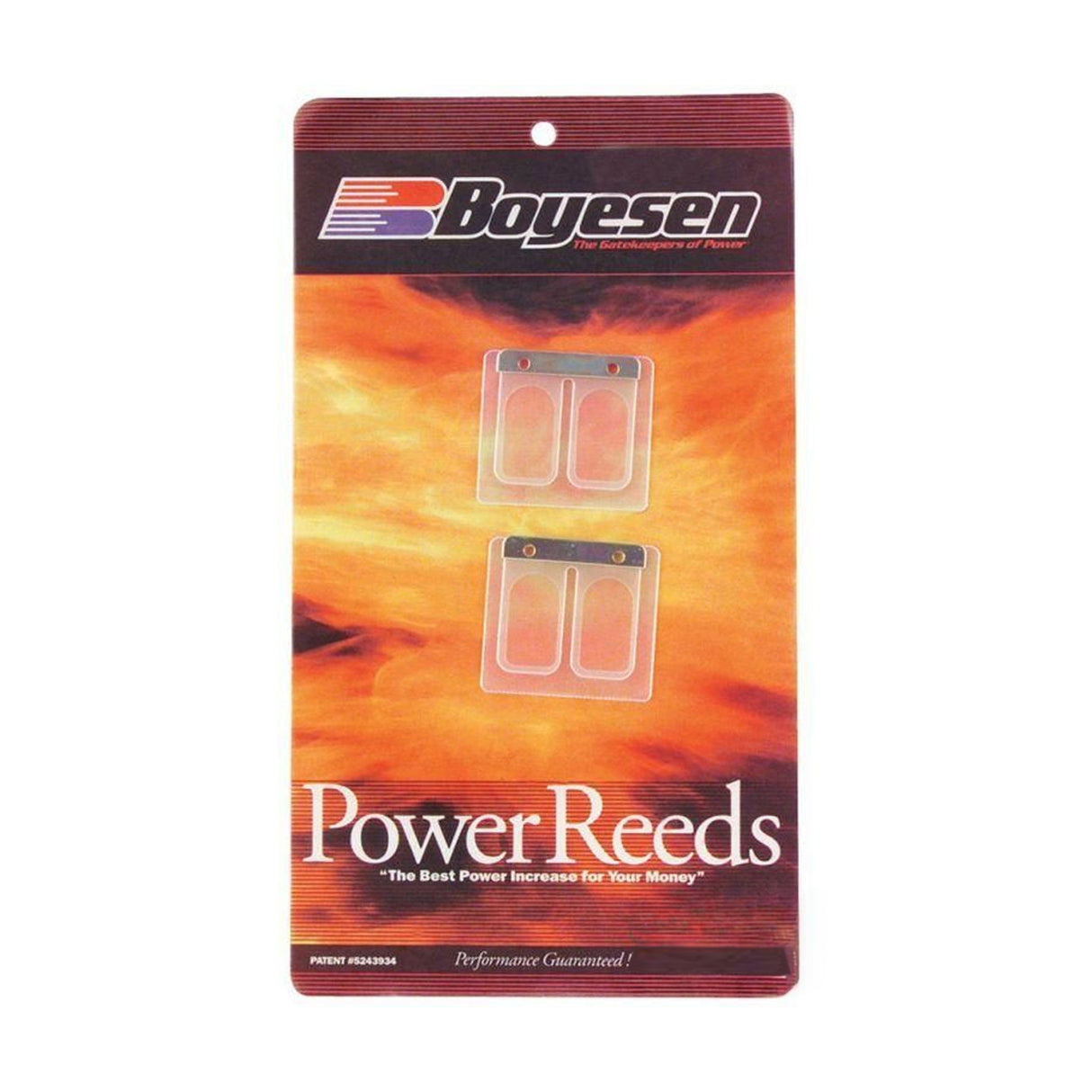 BOYESEN REEDS 666 DT125 98-93 BR001666