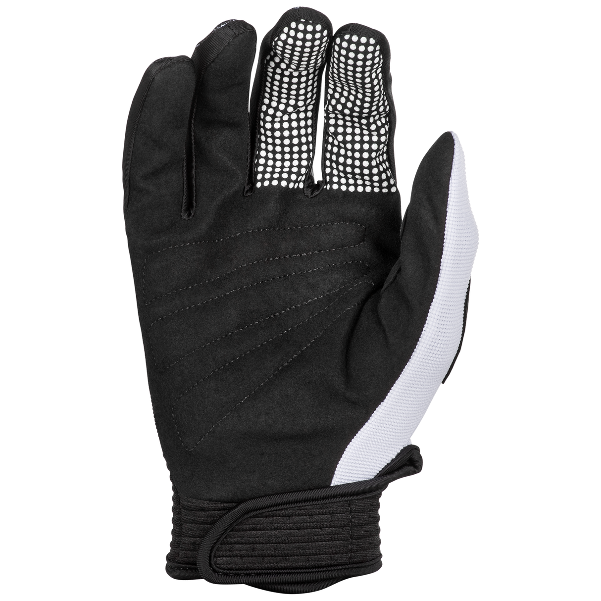 Fly Racing 2025 F-16 Gloves (Black/White)