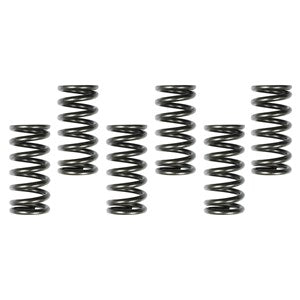PERFORMANCE + CLUTCH SPRINGS HONDA CRF250R 04-09, CRF250X 04-19