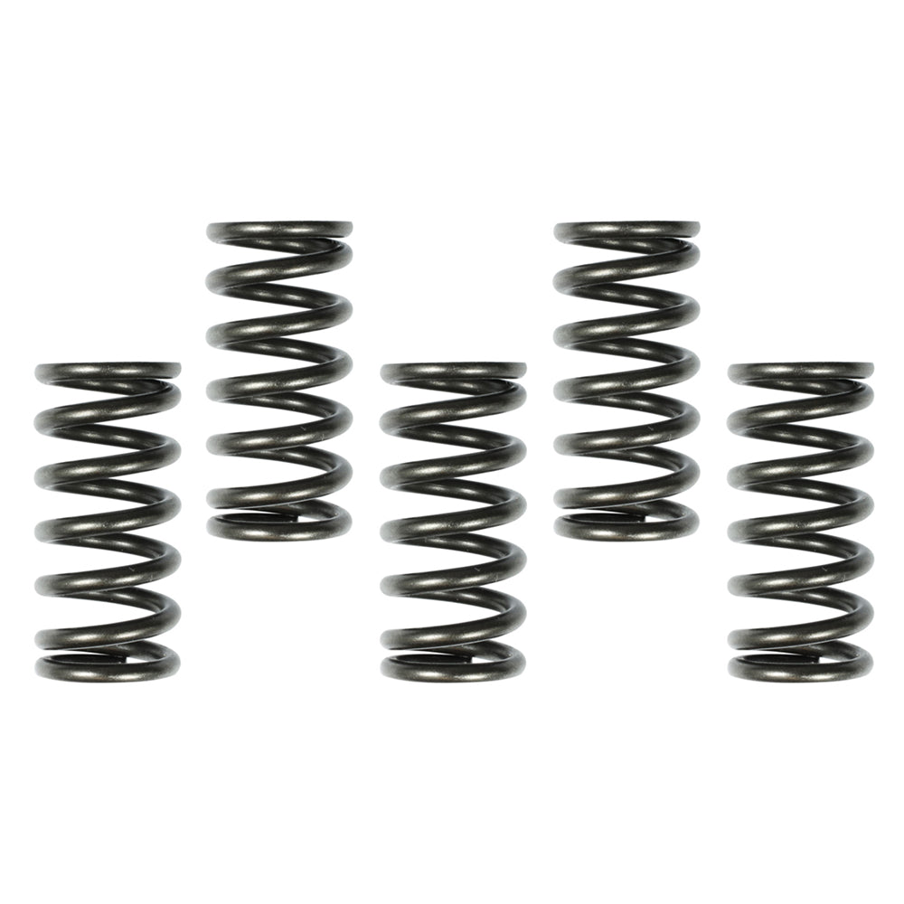 CLUTCH SPRINGS HONDA CRF250R 10-19 X5-PCS