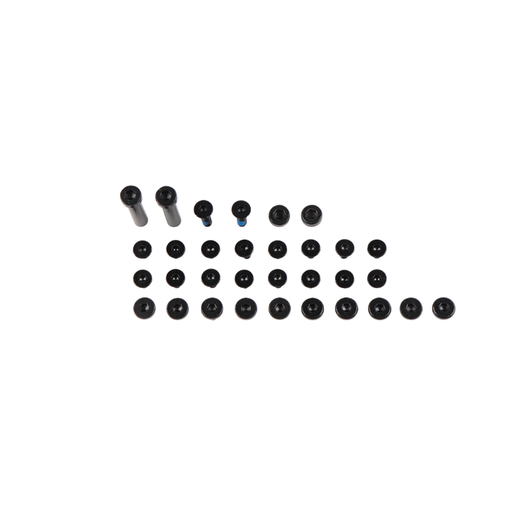 LEATT BOOT SCREW KIT 5.5 FLEXLOCK