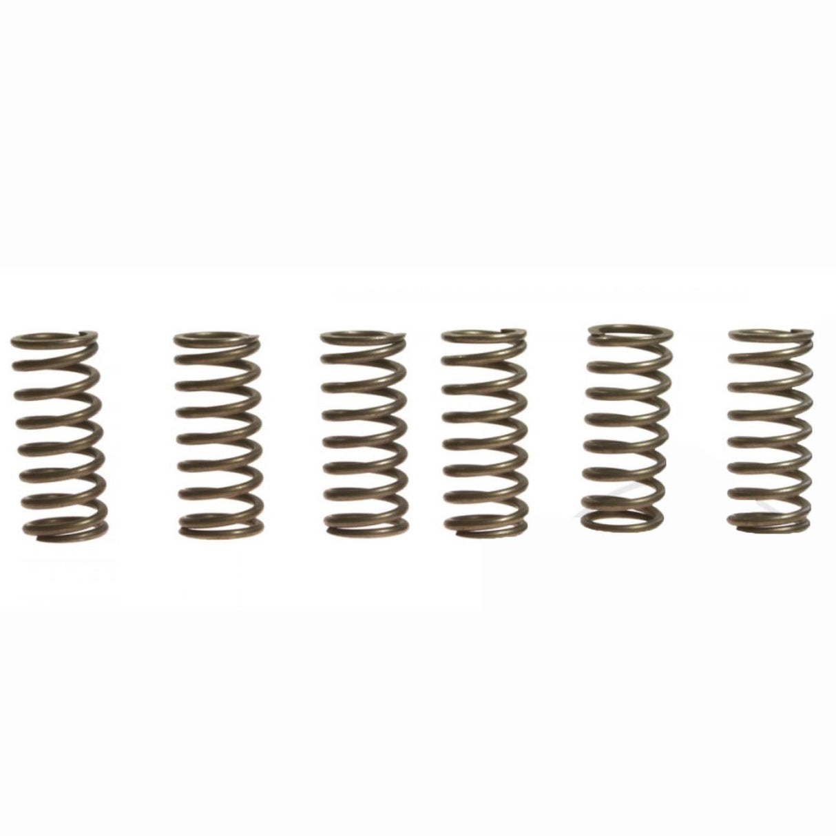 CLUTCH SPRING SET/6 EBC CSK015