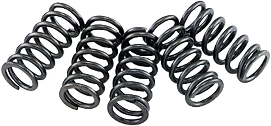 CLUTCH SPRING SET/6 EBC CSK002