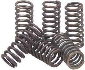 CLUTCH SPRING SET/6 EBC CSK036