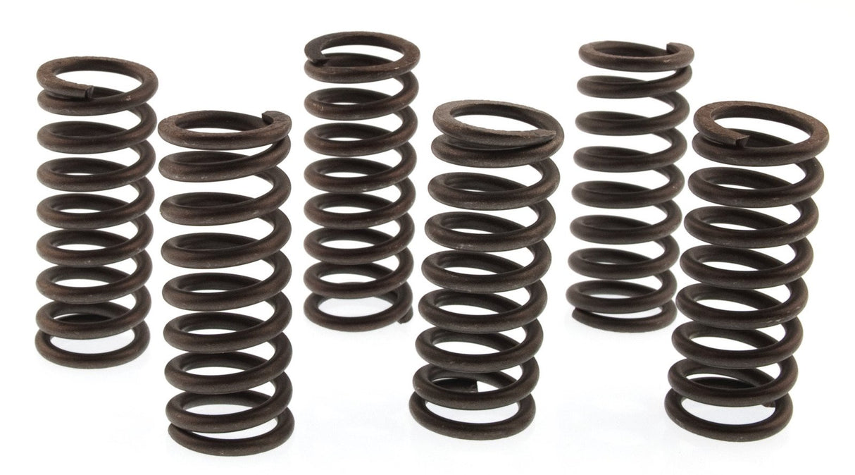 CLUTCH SPRING KIT SET/6 EBC CSK037