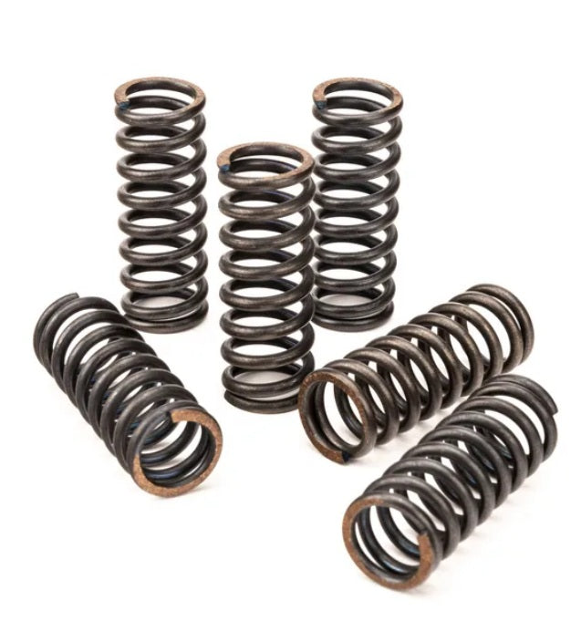 CLUTCH SPRING SET/6 EBC CS0K46