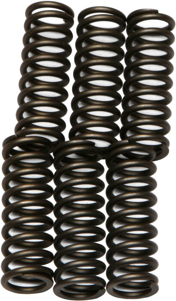 CLUTCH SPRING SET/6 EBC CSK062