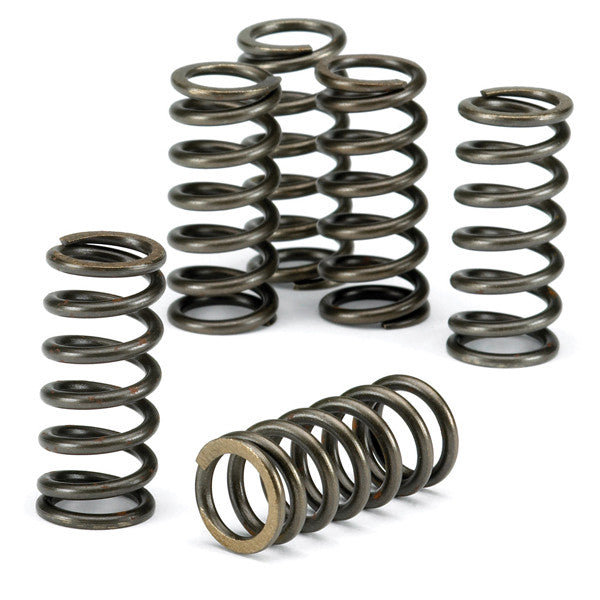 CLUTCH SPRING SET SET/6 EBC CSK092