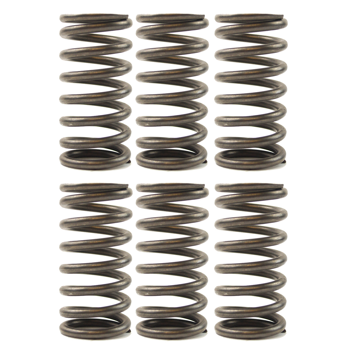 CLUTCH SPRINGS SET/6 EBC CSK136