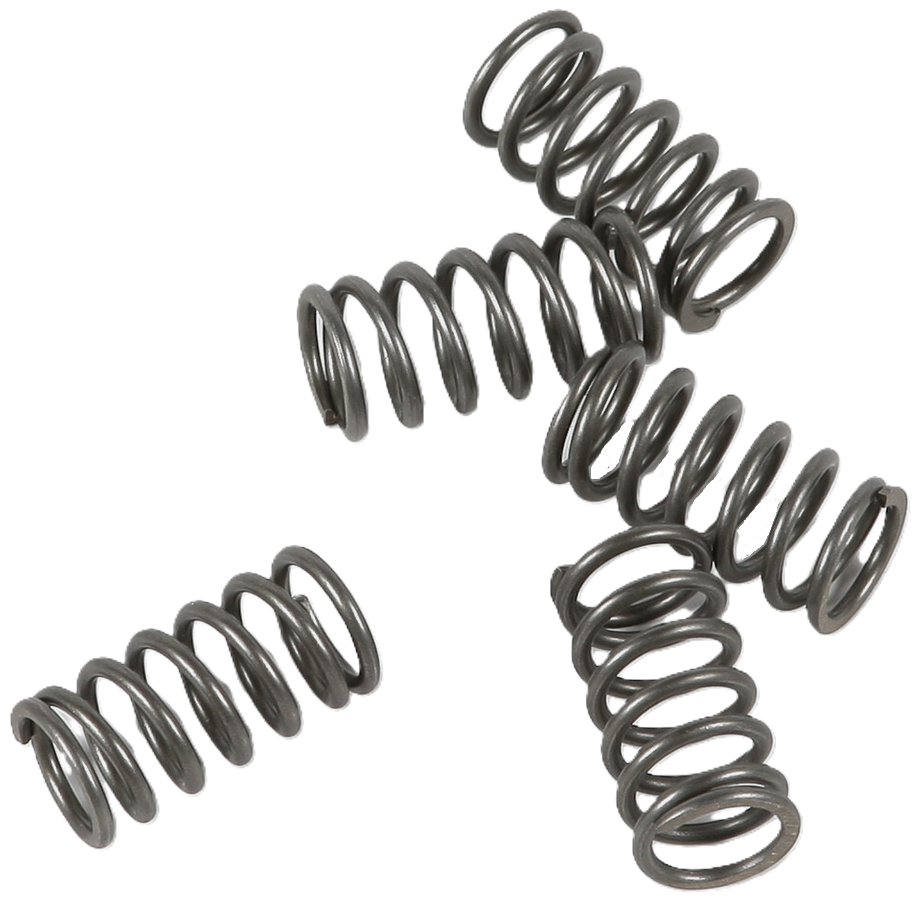 CLUTCH SPRINGS SET/5 EBC CSK116