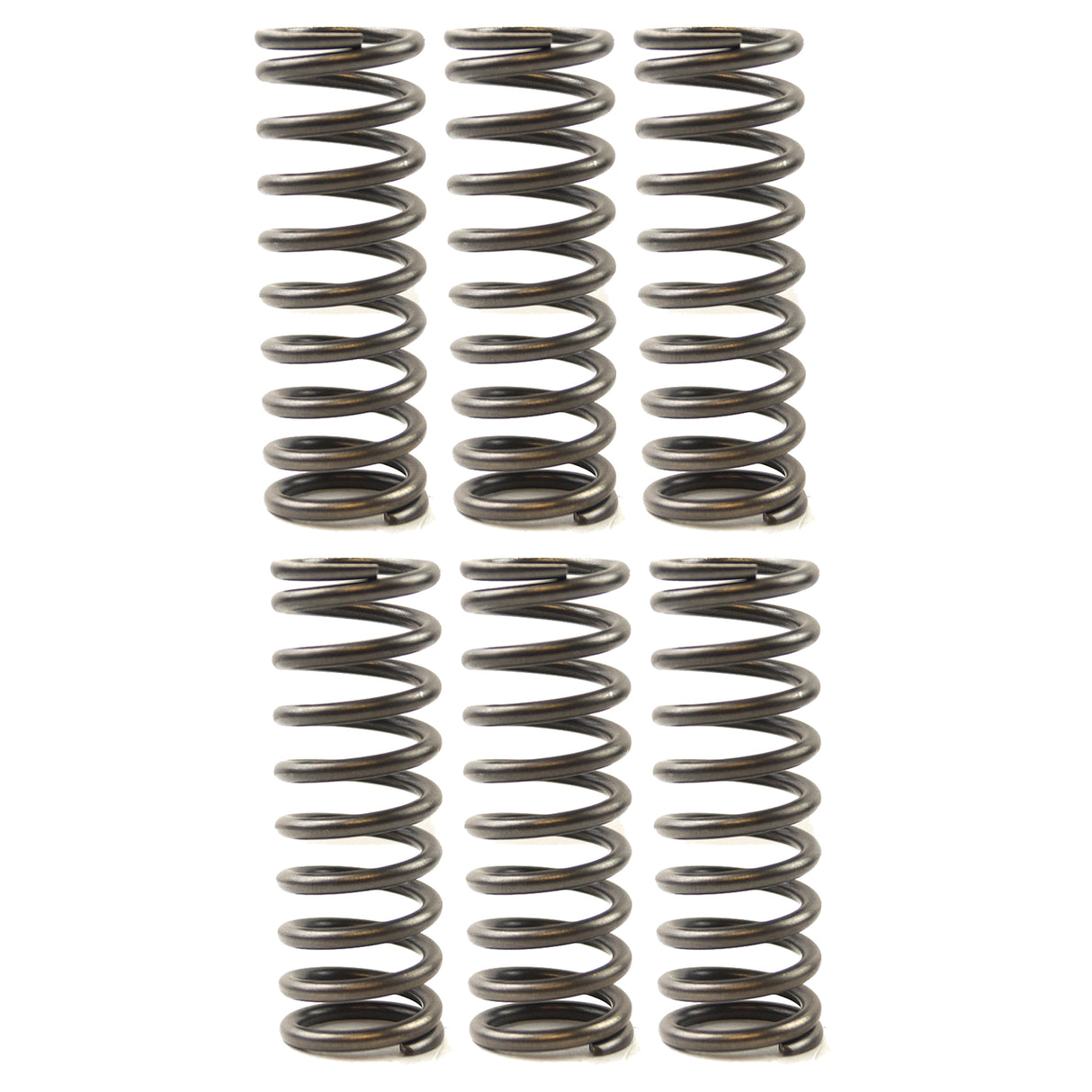 CLUTCH SPRING SET/6 EBC CSK119