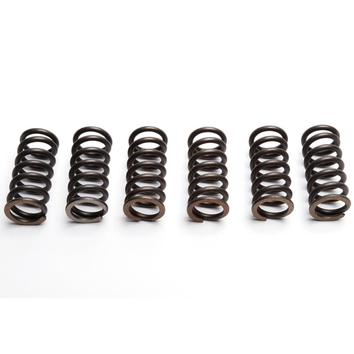 CLUTCH SPRINGS SET/6 EBC CSK031