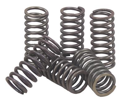 CLUTCH SPRINGS SET/6 EBC CSK144
