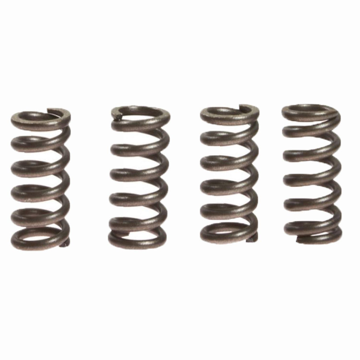 CLUTCH SPRINGS SET/4 EBC CSK174