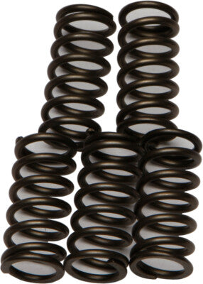 CLUTCH SPRINGS SET/5 EBC CSK176