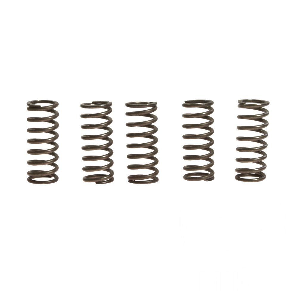 CLUTCH SPRINGS SET/5 EBC CSK182