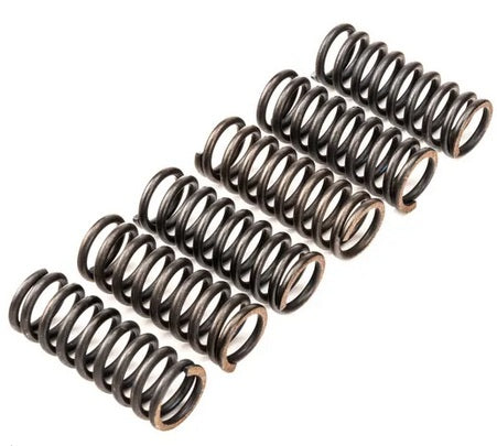 CLUTCH SPRING SET/6 EBC CSK213