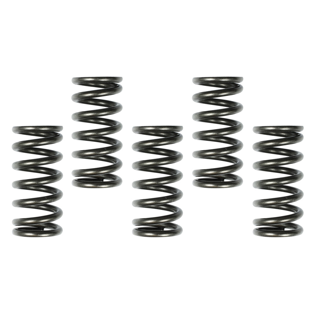 CLUTCH SPRINGS HONDA CRF250R 10-19  X5-PCS