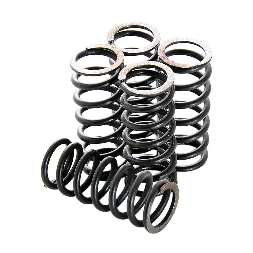 DP Clutches Clutch Spring Kit