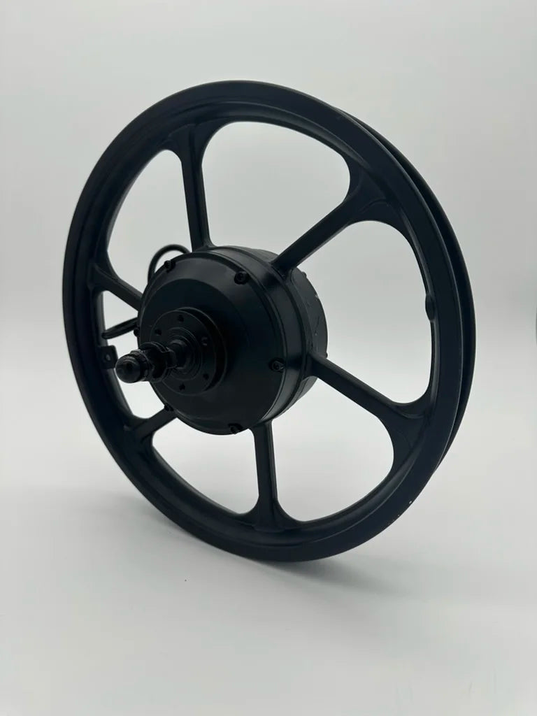Rear Wheel Hub and Motor 350w