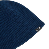 Session Beanie (Team Navy)