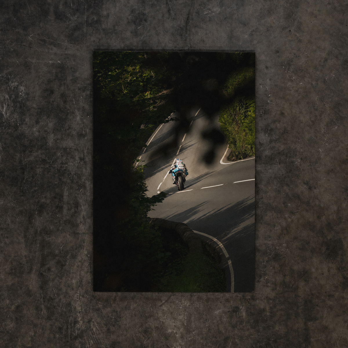 Into the Shadows, Josh Brookes Uggly & Co TT Canvas Wall Art