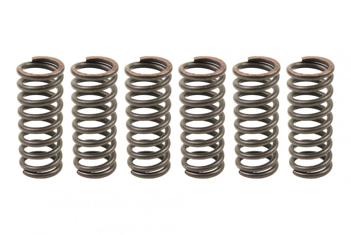 CLUTCH SPRING SET/6 CSK014