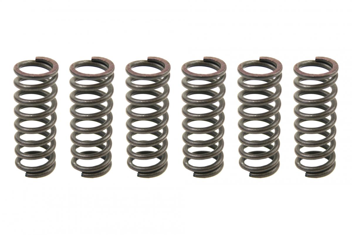 CLUTCH SPRING KIT SET/6 EBC CSK049
