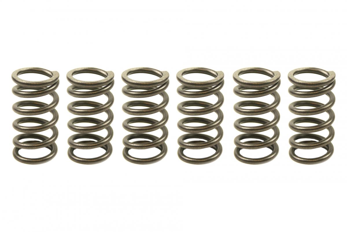 CLUTCH SPRING SET/6 EBC CSK007