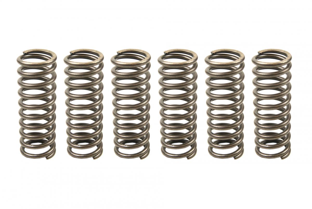 CLUTCH SPRINGS SET/6 EBC CSK164